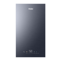 Настенный газовый котел Haier EvoLine 2.32 TI